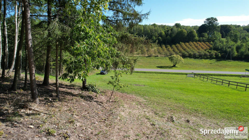 sprzedaży działki TeodorówkaKolonia 4182m2 Teodorówka-Kolonia