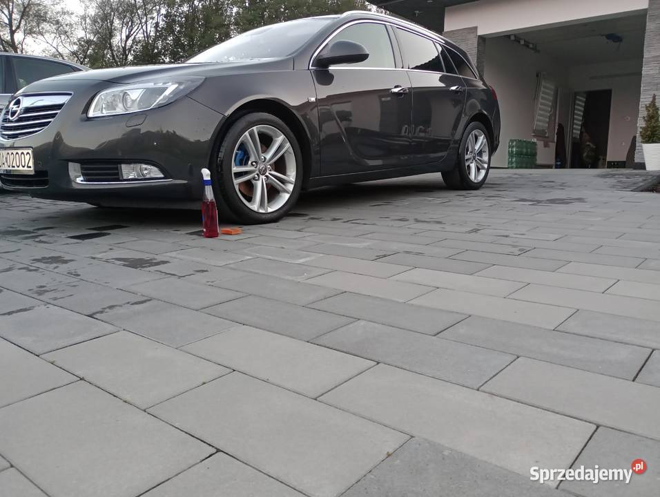Opel Insignia BiTurbo Dąbrowa Tarnowska