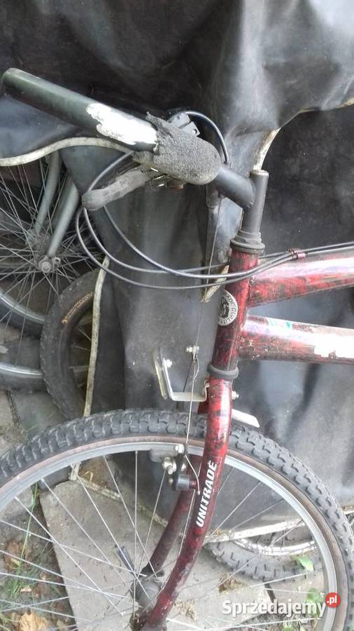 włoski rower vicini Łódź