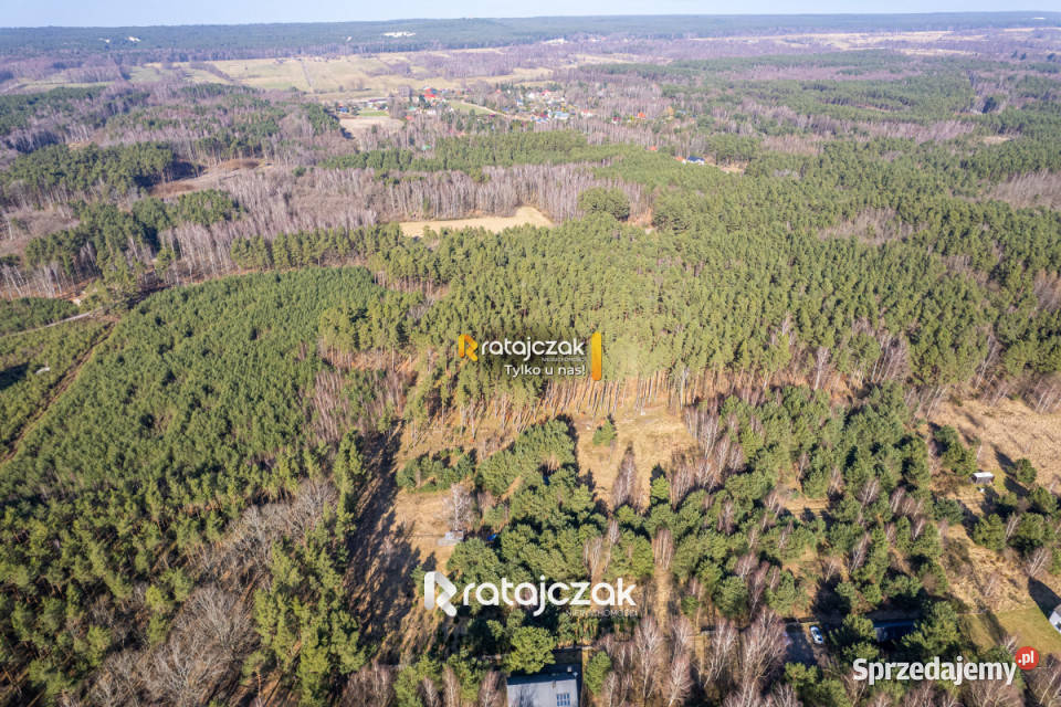 Grunt na sprzedaż 9751m2 Sasino Stara Cegielnia 2216m2