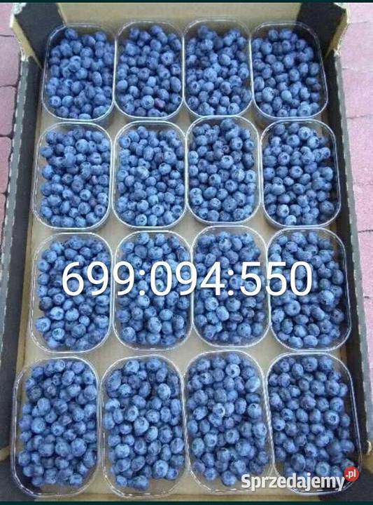 Borówka Amerykańska Owoce 4 250g Telefon Dębica