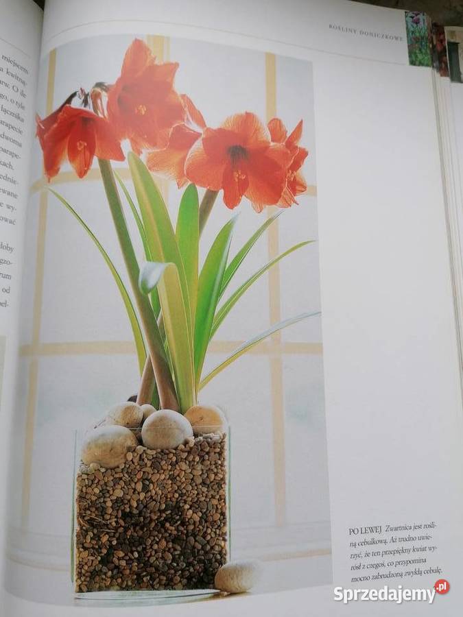 Dekorowanie kwiatami Mielec