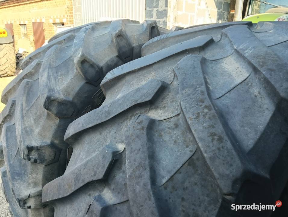 Opony Pirelli 6506538 Włocławek