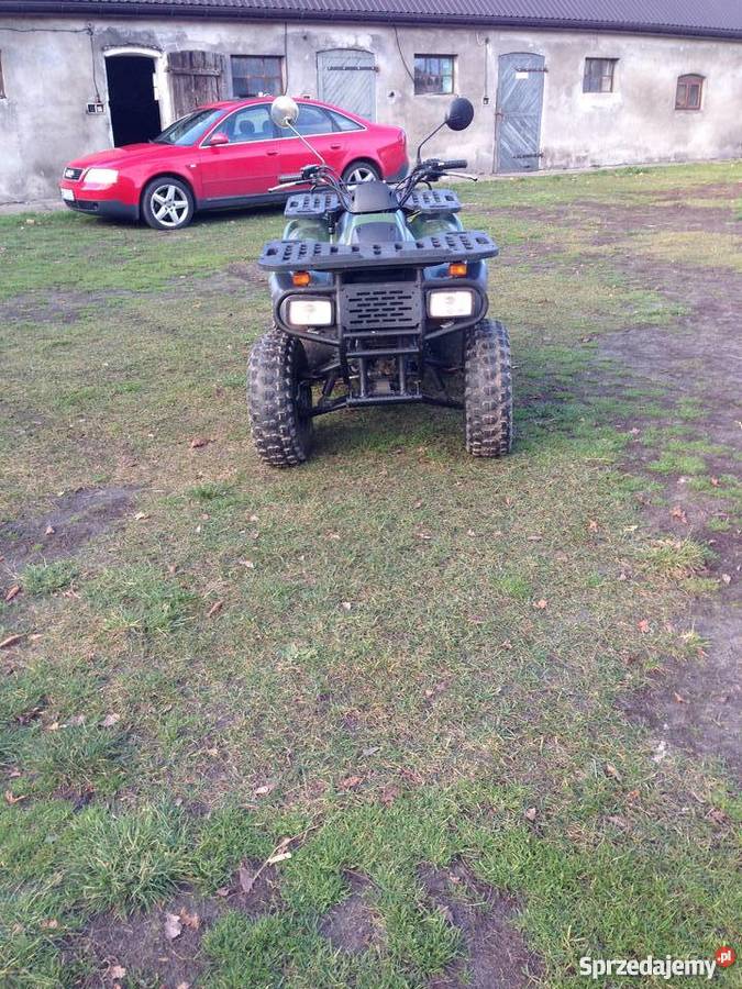 Quad Motortek 175 Niemierzyn