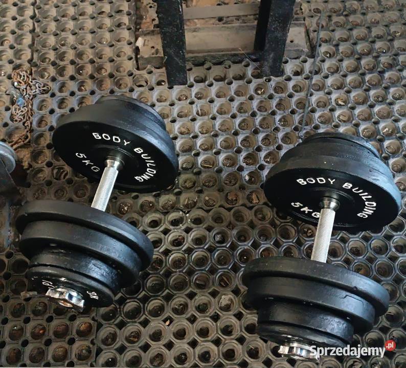 Hantle żeliwne 2x30 Końskie