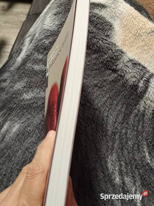 Jedenaście minut autorstwa Paulo Coelho wielkopolskie Poznań