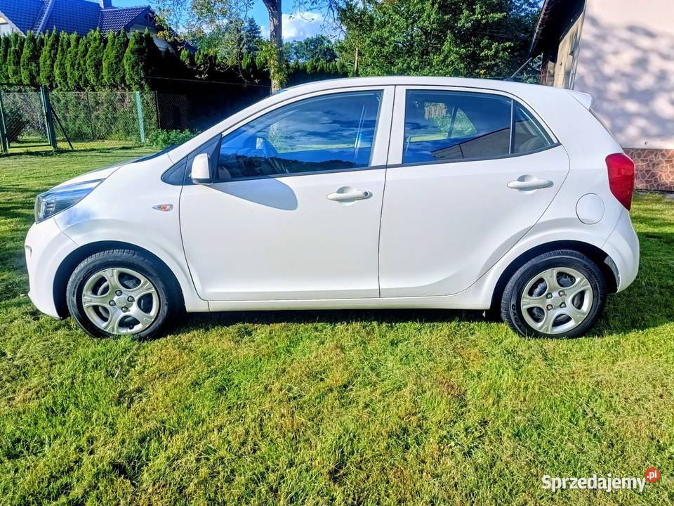 Kia Picanto model 2019 Serwisowany śląskie Skoczów sprzedam