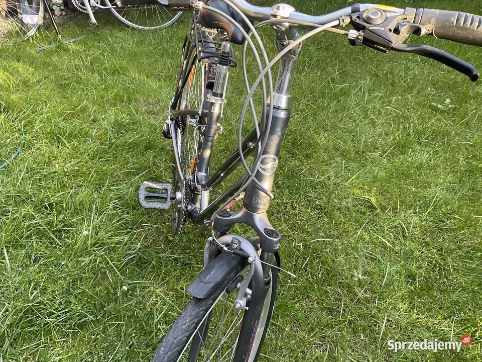 Rower damski Giant Plewiska