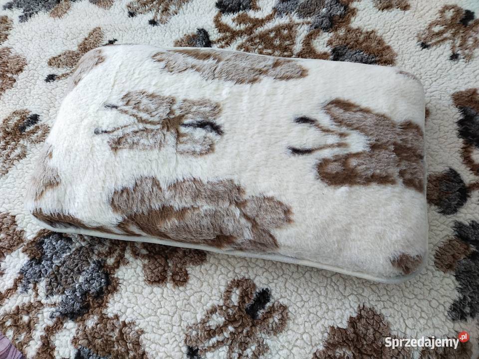 Kołdra z poduszkąWełna owcza 100 Bydgoszcz