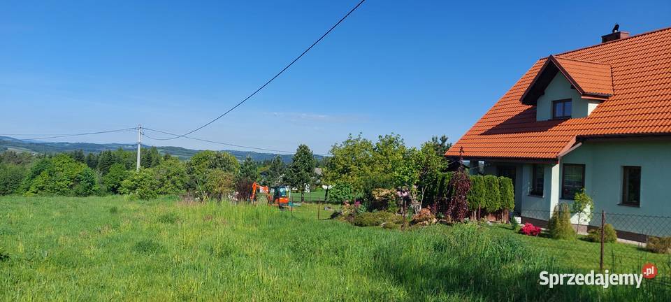 Usługi Ogrodnicze Koszenie trawników Busko-Zdrój sprzedam