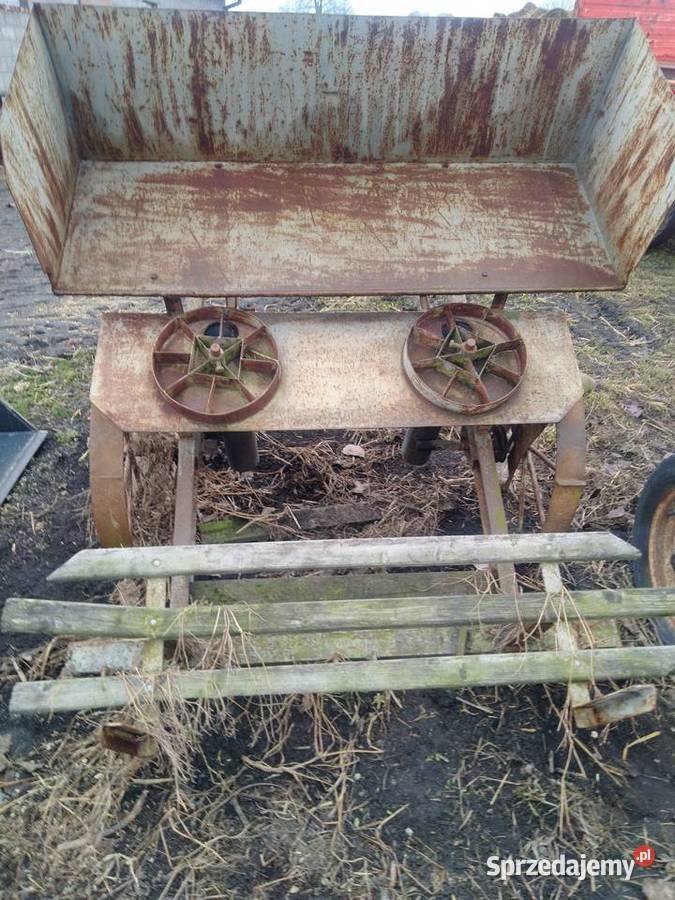 Sadzarka do ziemniaków podkiełkowanych Radomsko