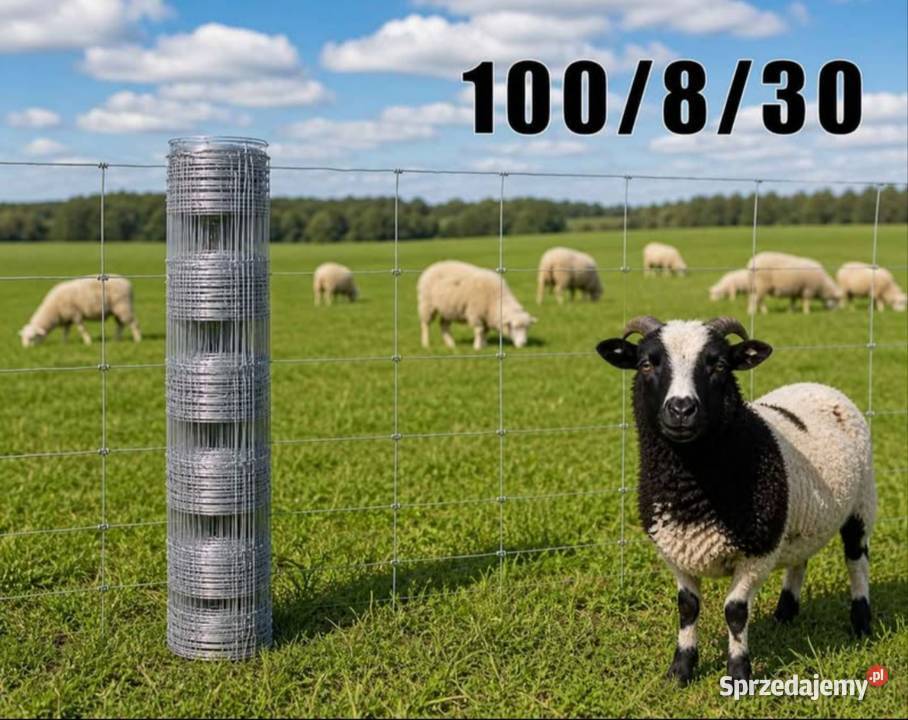 Siatka leśna 100830 rolka 50mb duża ilość sztuk Tarnów