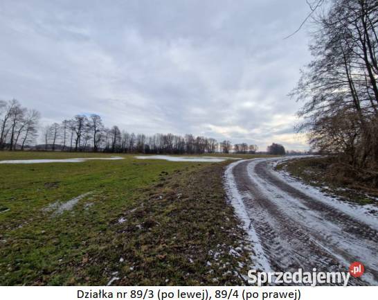 Syndyk sprzeda nieruchomości gruntowe położone w