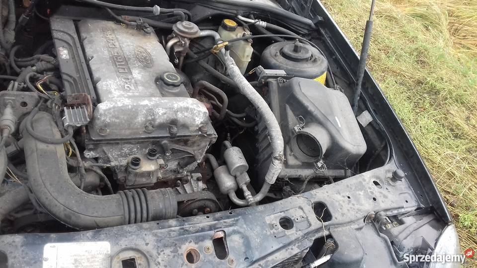 Ford scorpio 20 dohc części osobowe Gorzów Wielkopolski