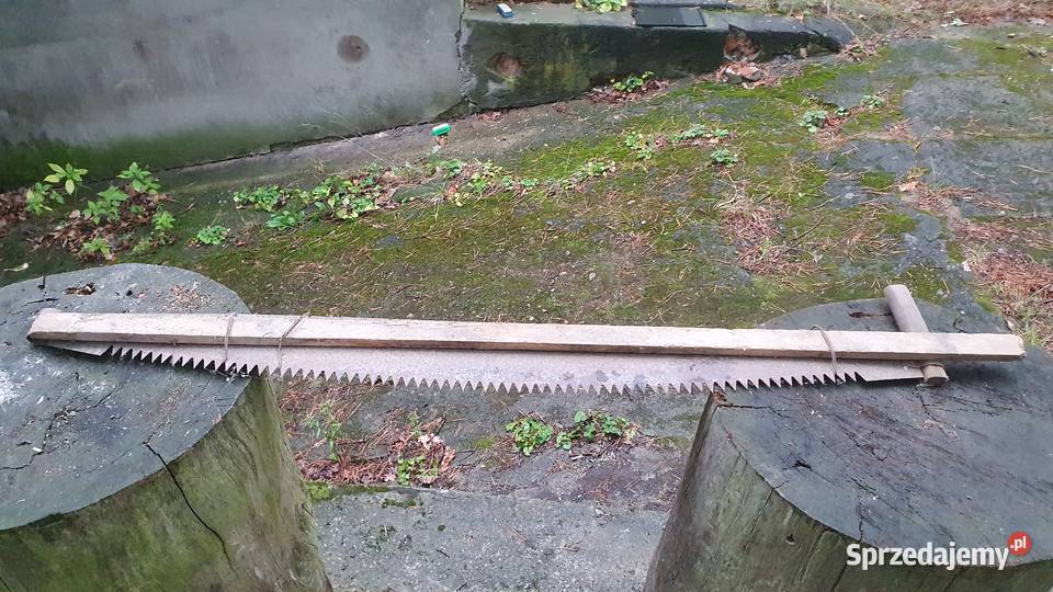 Piła stara długa dwuręczna dwuosobowa stara Warszawa