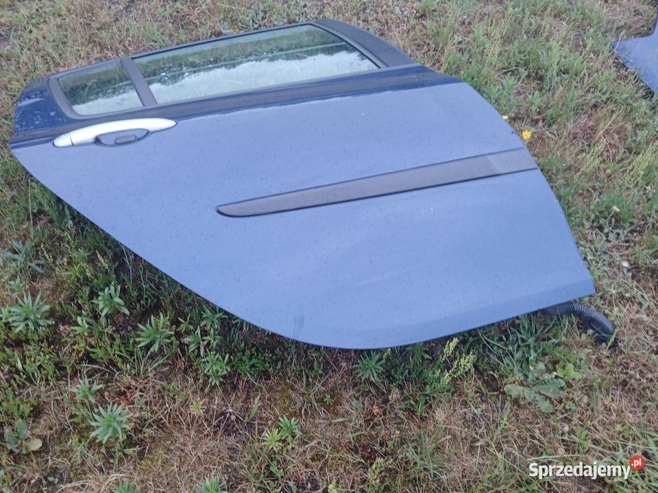 Drzwi Prawy tył tylne KPL Renault Clio III HB 5D Radłów
