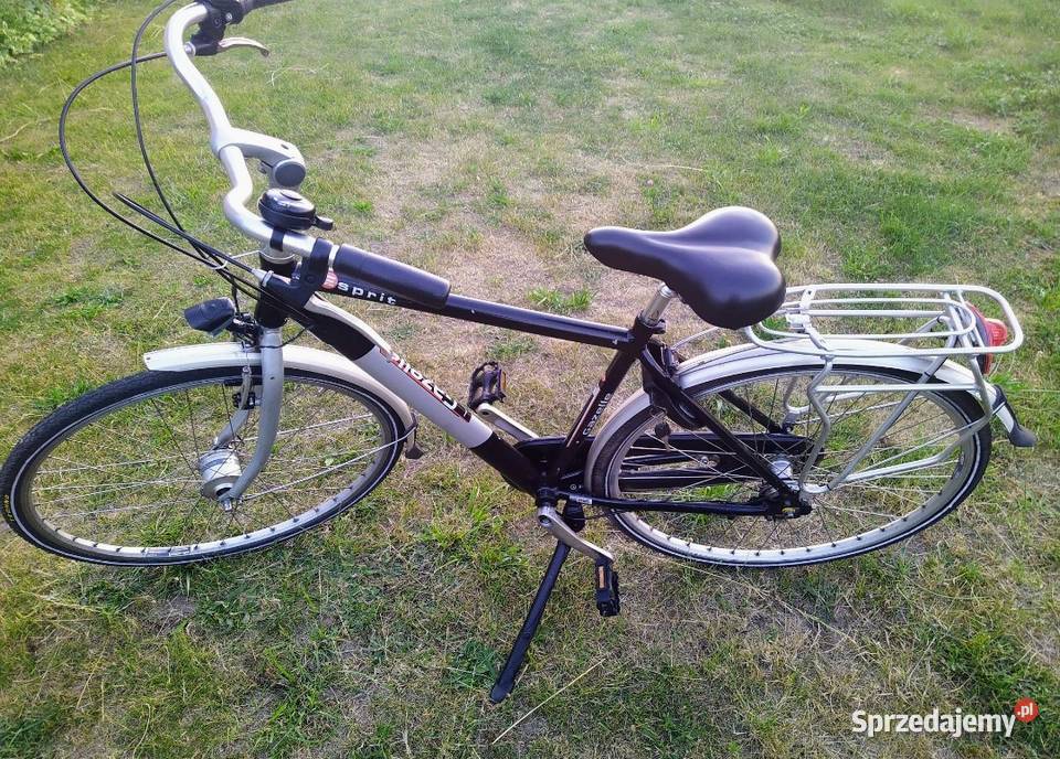 Rower męski Gazelle Esprit 28 Alu Nexus 3