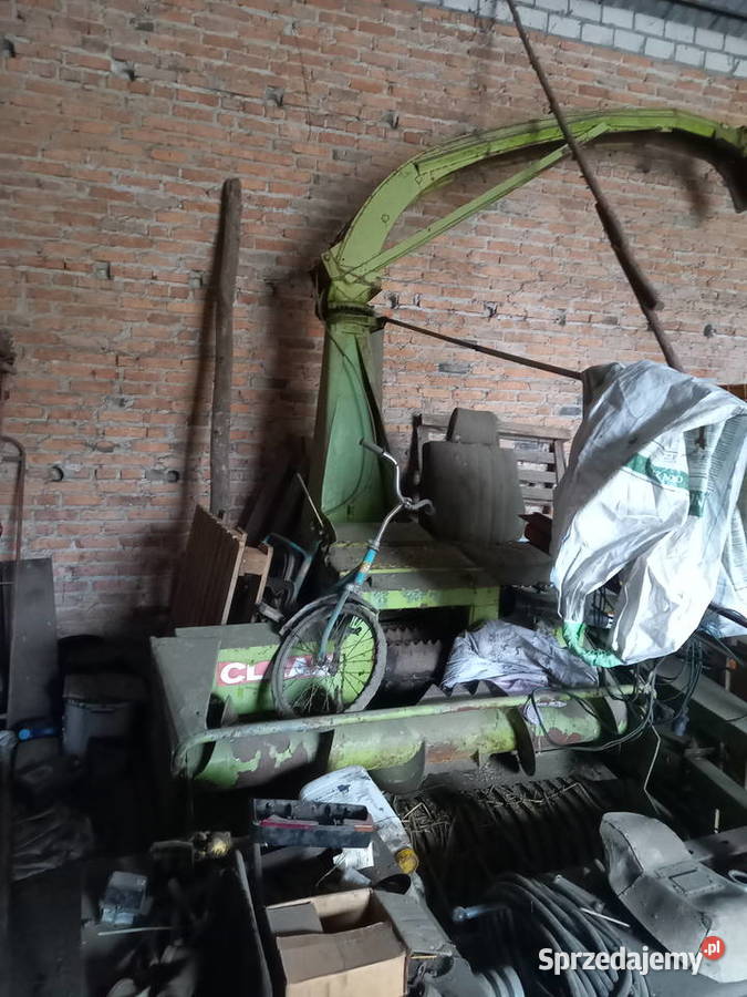 Sieczkarnia claas jaguar 60 Claas Września