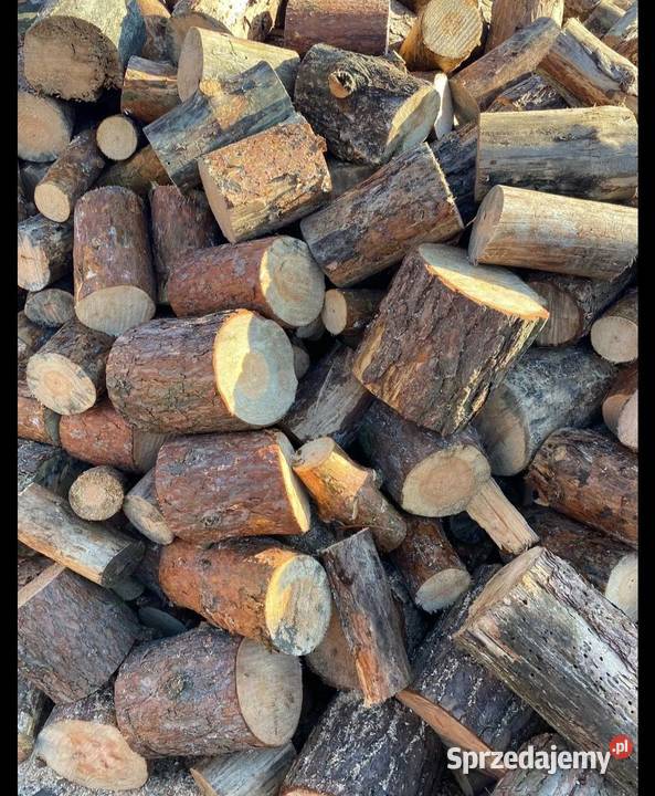 Drewno opalowe Chodzież sprzedam