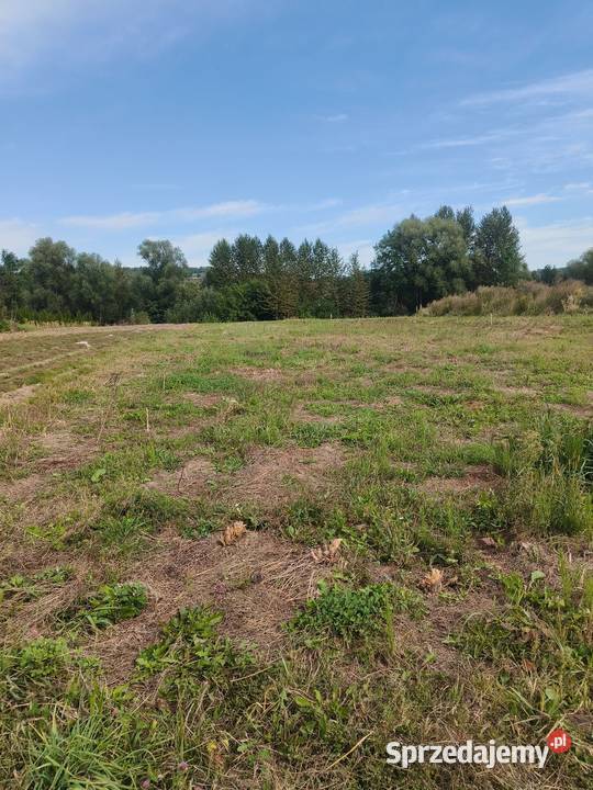 Wydzierzawie działkę Kielnarowa 30 arów