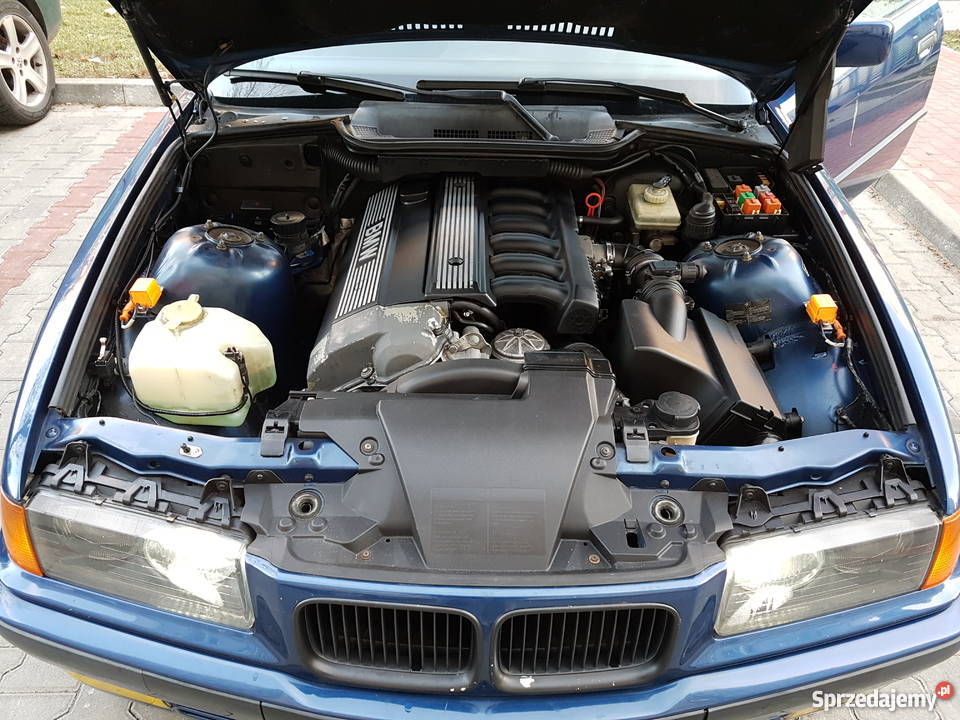 BMW E36 Coupe 320i GwintGlebaGermanDaily 231000km Seria 3 Świnoujście