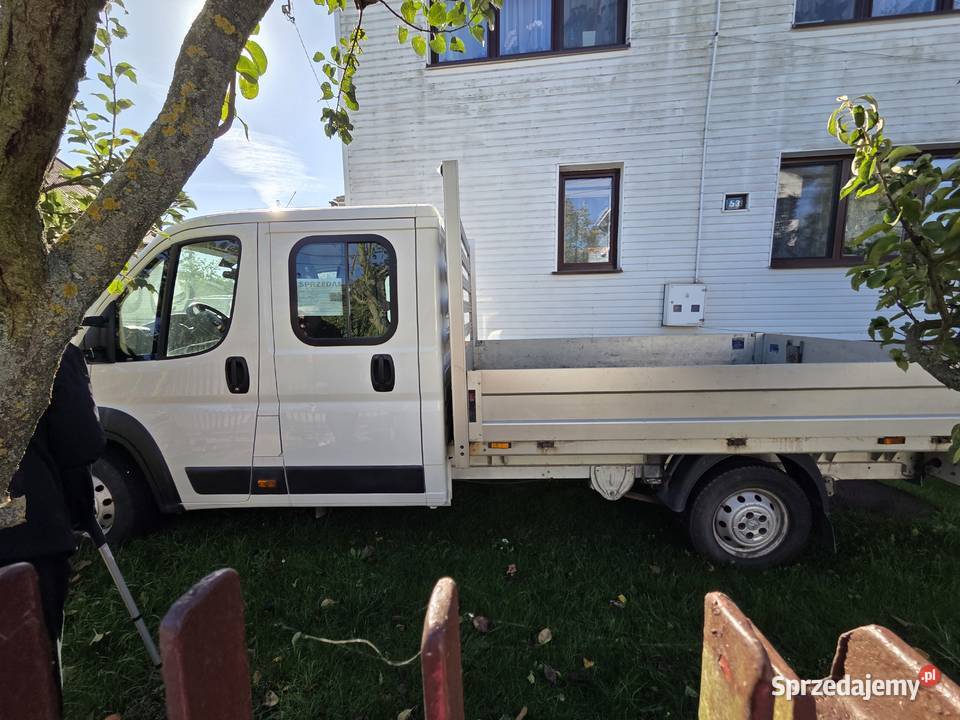 Citron Carpol Jumper nieuszkodzony Mielec