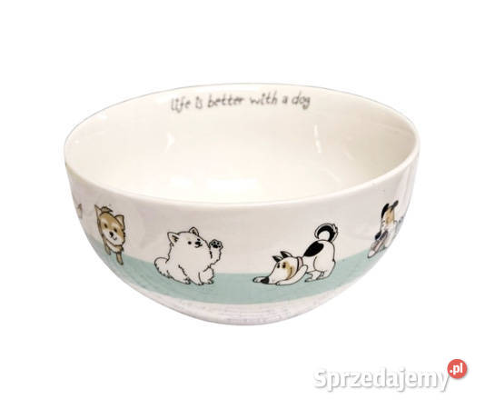 miętowa miseczka z psami warmińsko-mazurskie Olsztyn