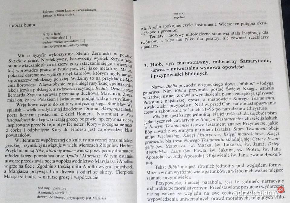 Powtórka do matury z języka polskiego Pytania i Chełm