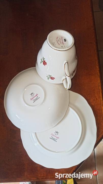 Colclough Made in England Filiżanka z pomorskie