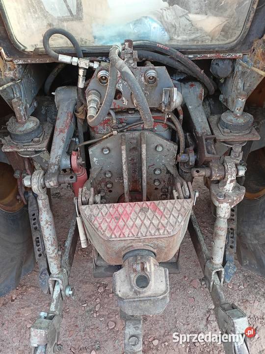 Ursus 1212 nie 385 1224 1614 Ursus Wschowa