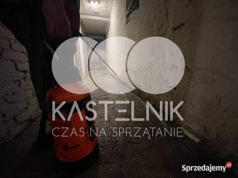 Sprzątanie zalaniach usuwanie szkód Złocieniec