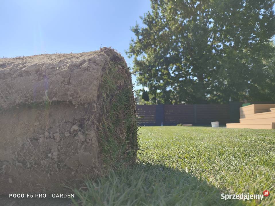 Zakładanie Ogrodów Świdnik Taniej niż myślisz Z