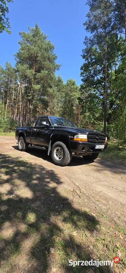 Dodge Dakota Automat 36 Magnum V6 200 koni Nowy Tomyśl sprzedam