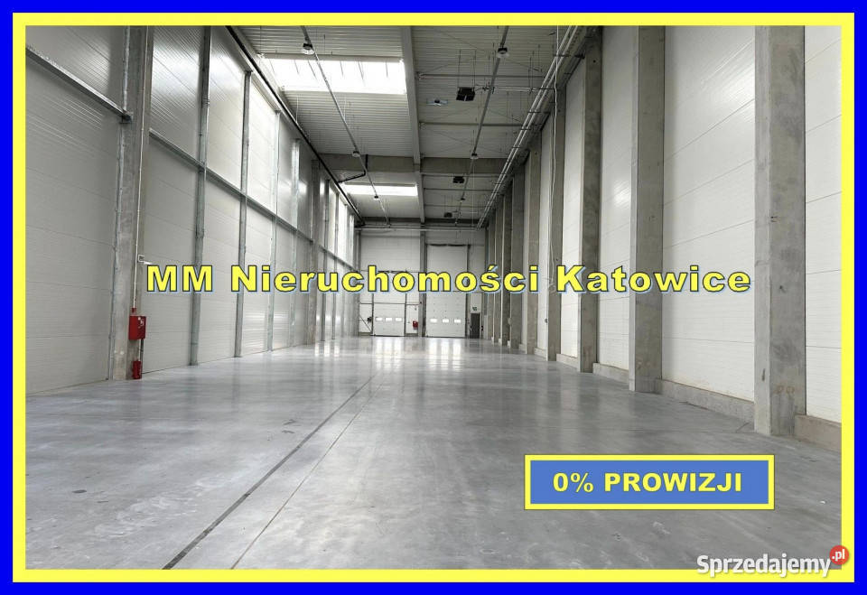 Hale wynajem Siemianowice Śląskie rampy brama