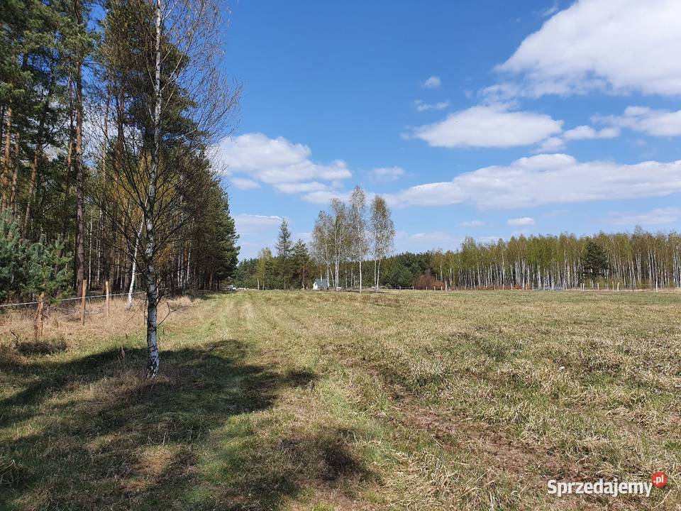Działka rekreacyjna z prawem zabudowy letniskowa