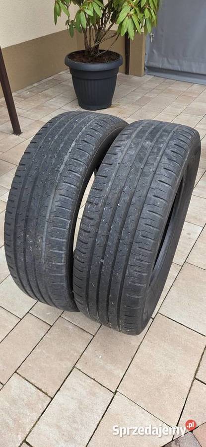 Opony Letnie Contiental ContiEcoContact 5 21560 Rzeszów