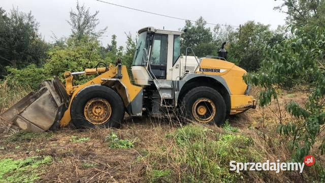 Liebherr L544 2plus2 Zwolnica Most Napędowy Jastrzębniki