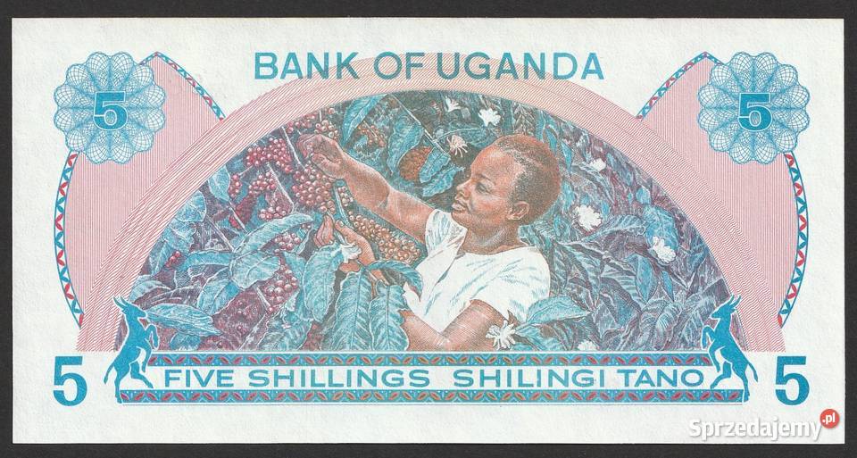 UGANDA 5 SHILLING 1979 STAN BANKOWY UNC Łódź