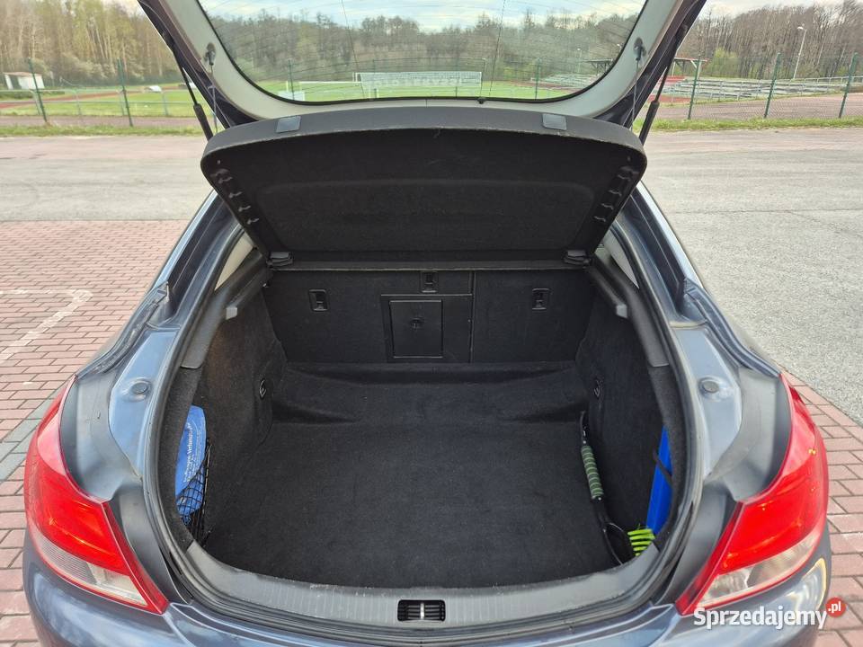 Opel Insignia A 220KM Zagóźdź