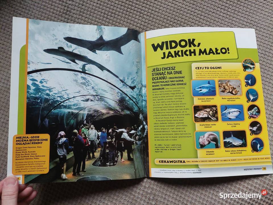 National Geographic Kids Wszystko o rekinach Kraków sprzedam