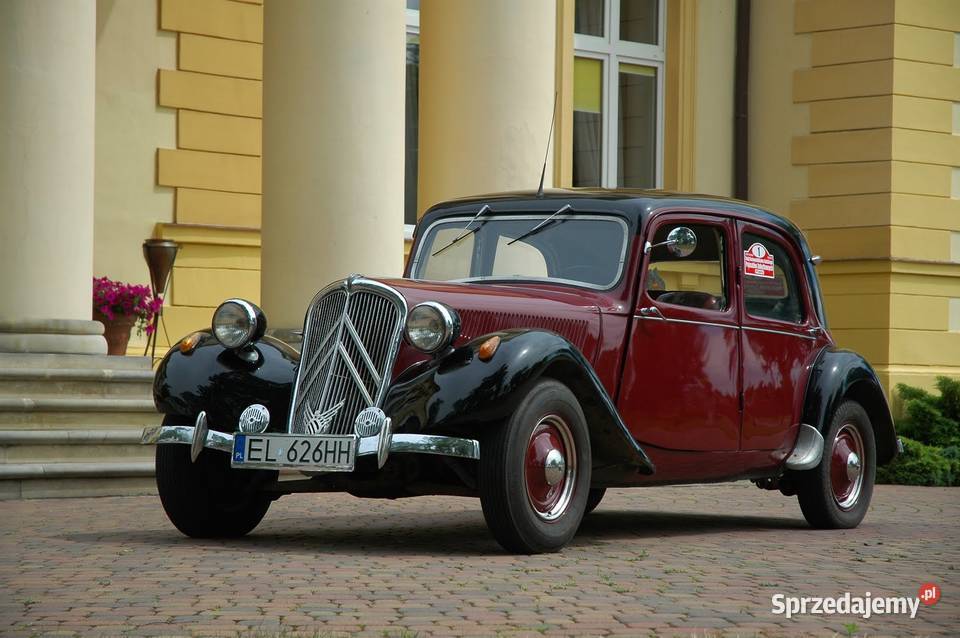 Biała Warszwa 223 do ślubu