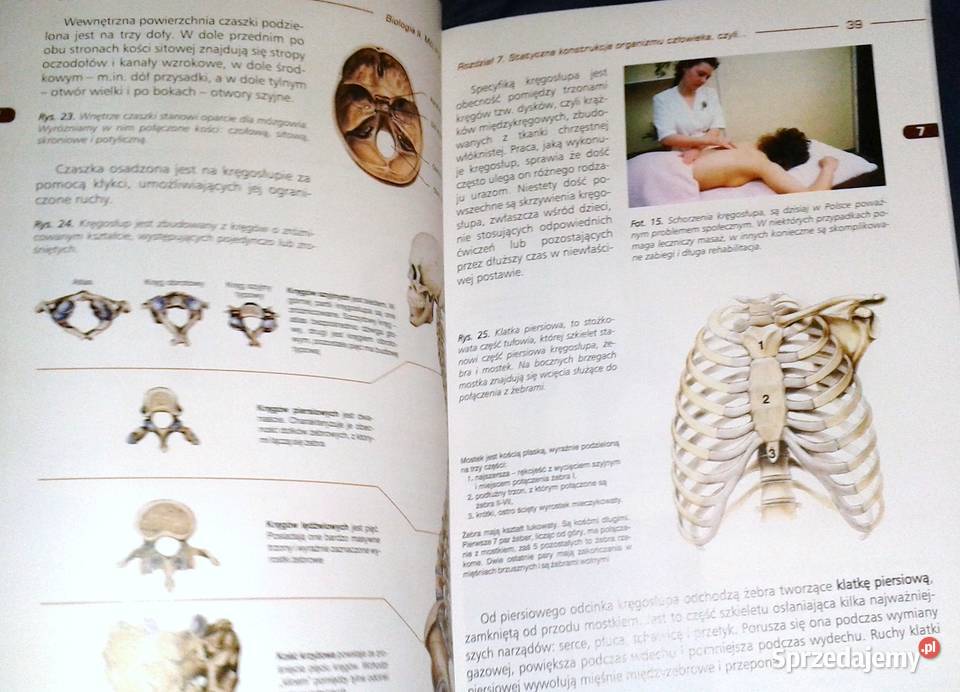 Biologia 2 Mój organizm Podręcznik LO i tech Jan lubelskie Chełm