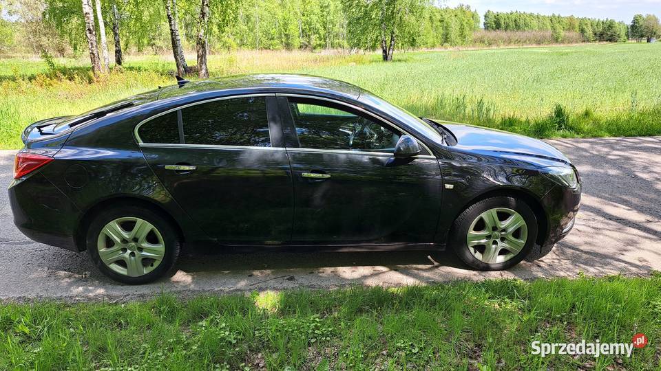 Opel insignia Kolbuszowa