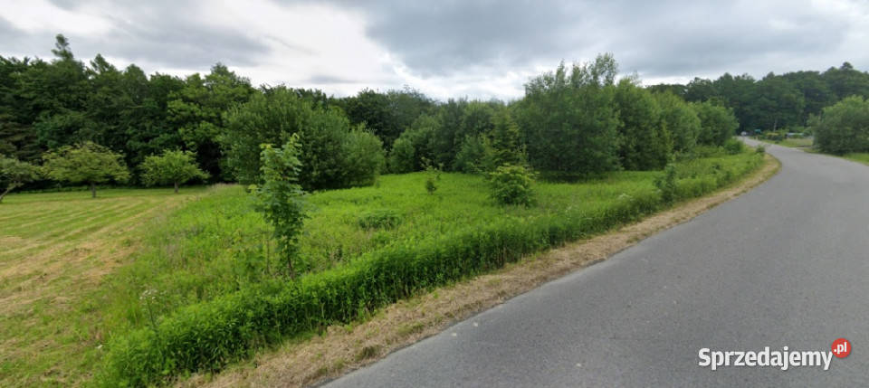 Działka budowlana 45a Dąbrówka Szczepanowska małopolskie