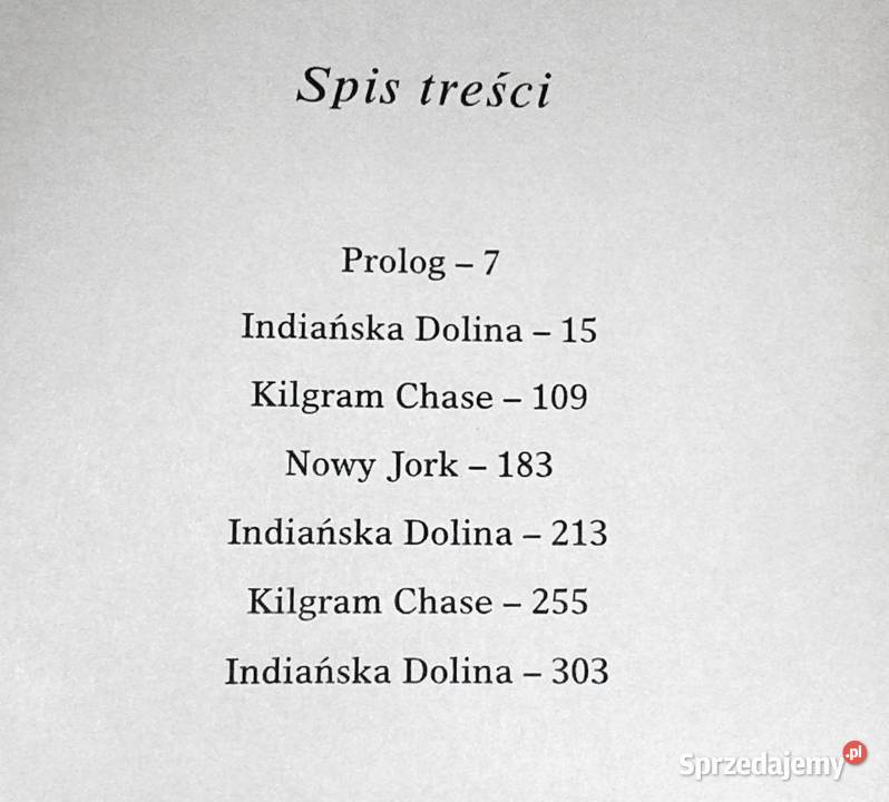 Wszystko przed tobą Barbara Taylor Bradford Chełm sprzedam