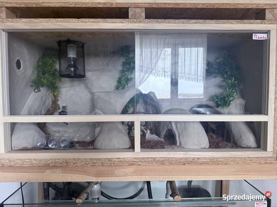 Sprzedam terarium gekona lamparckoego Kołodziejewo