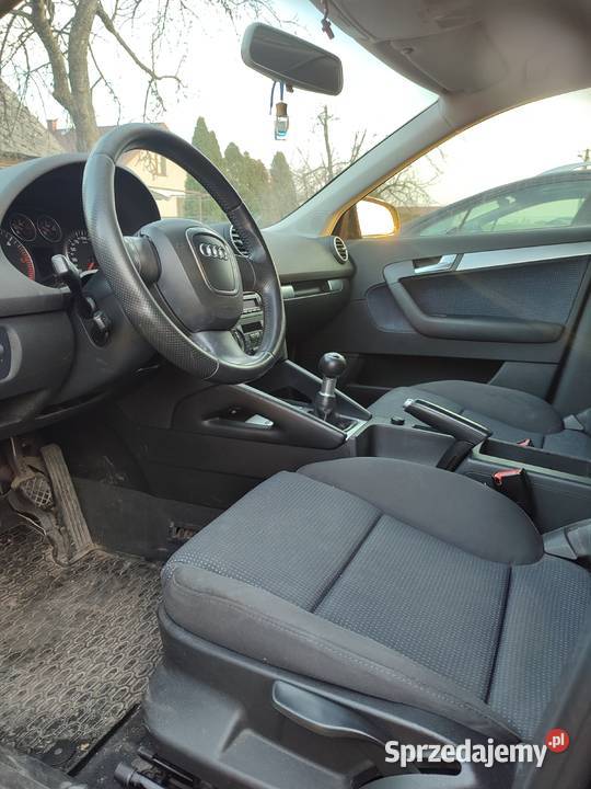 Audi A3 8p hatchback 20 TDI
