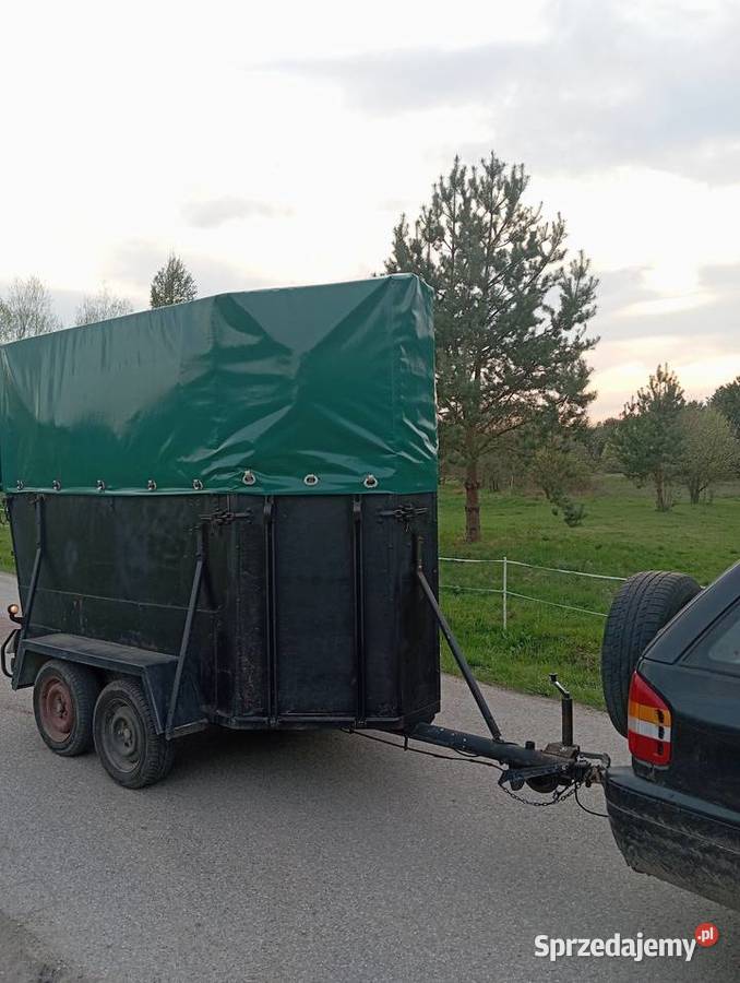 Przyczepa konna Bukmanka Mroczków-Kapturów
