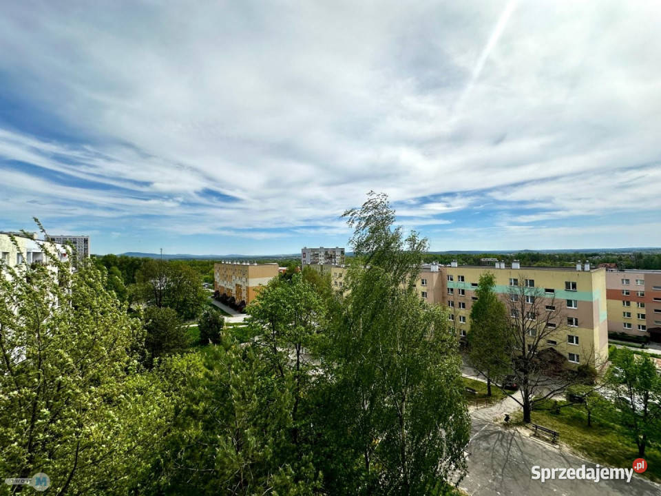 sprzedaży mieszkania 5995m2 3 pokoje Kielce