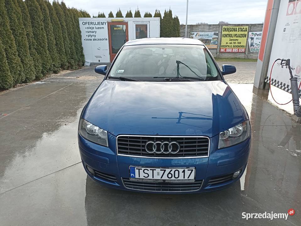 Audi A3 8P 2005 19 TDI BKC 1900cm3 Starachowice